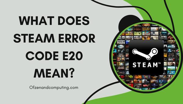 What does Steam Error Code E20 mean?