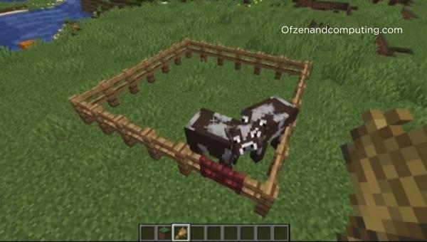 Granja de vacas