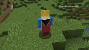 How To Get Capes In Minecraft?