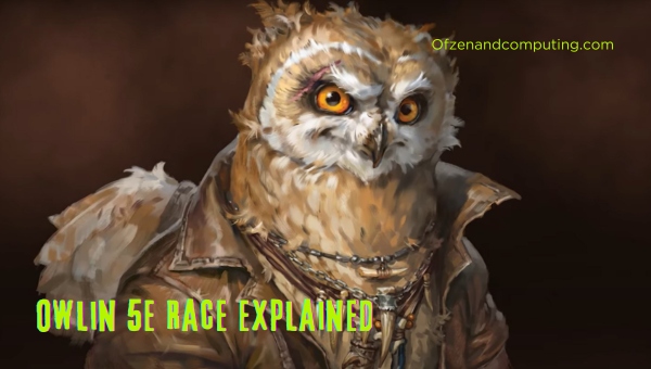 Owlin 5E Race