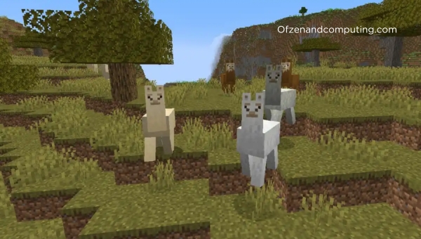 What is Tame Llamas in Minecraft?