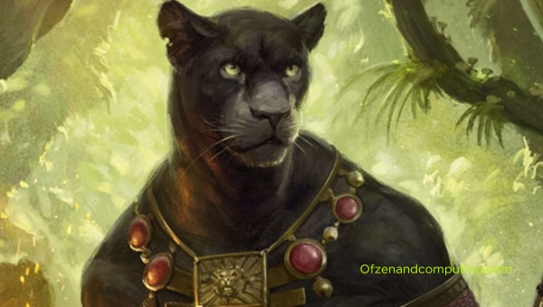 What is the Tabaxi 5E Race?