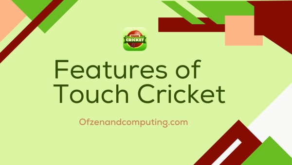 Features of Touch Cricket