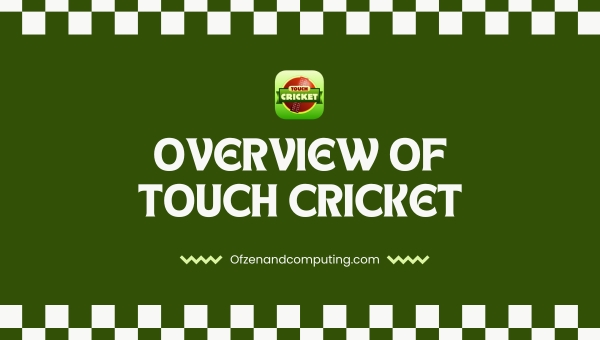 Overview of Touch Cricket