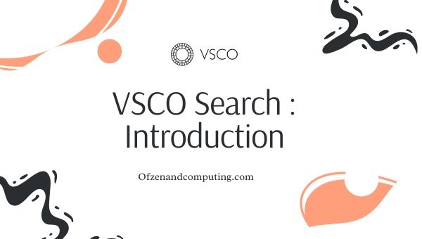 VSCO Search : Introduction