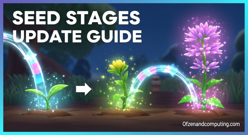Seed Stages Update Guide