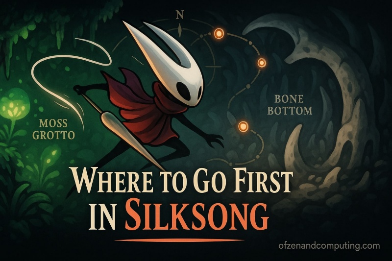 Where to Go First in Silksong Guide