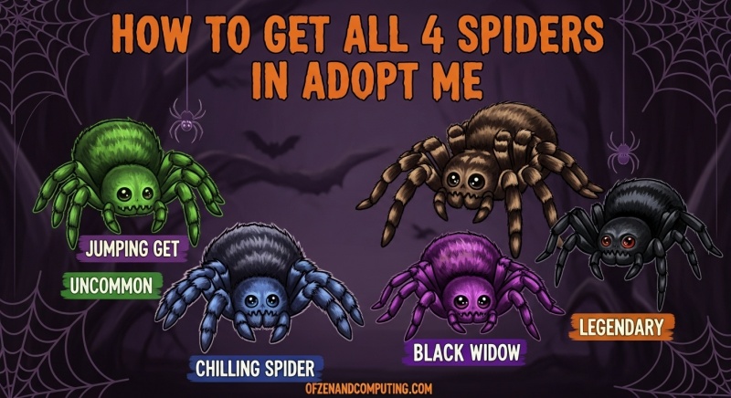 Get All 4 Spiders in Adopt Me