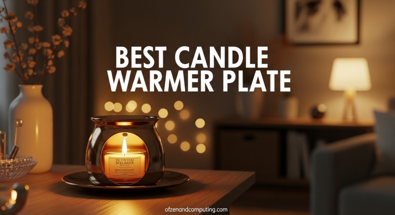 Best Candle Warmer Plate