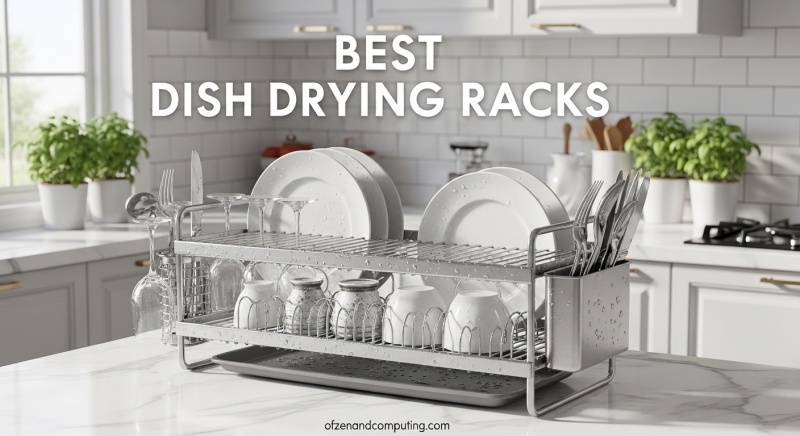Best Dish Drying Racks