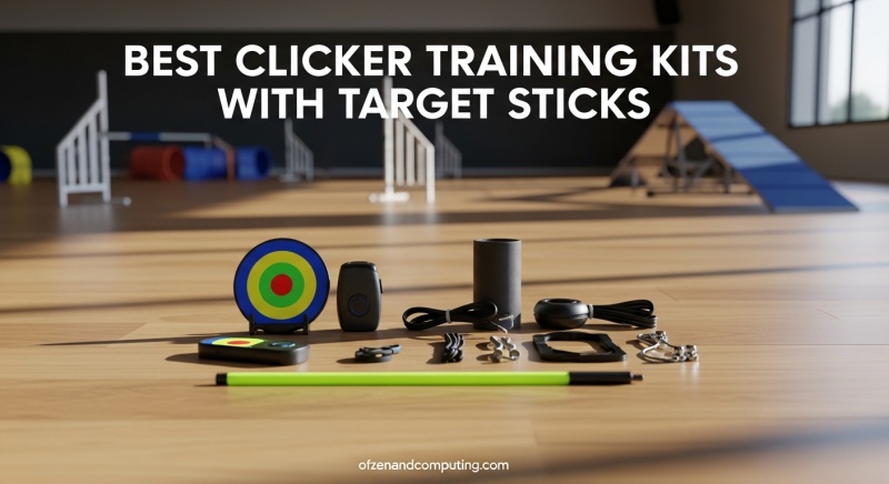 Best Clicker Training Kits with Target Sticks