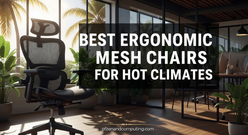 Best Ergonomic Mesh Chairs for Hot Climates