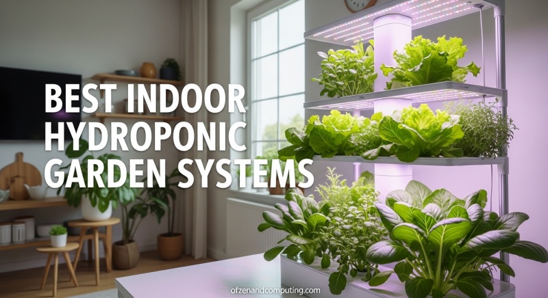 Best Indoor Hydroponic Garden Systems