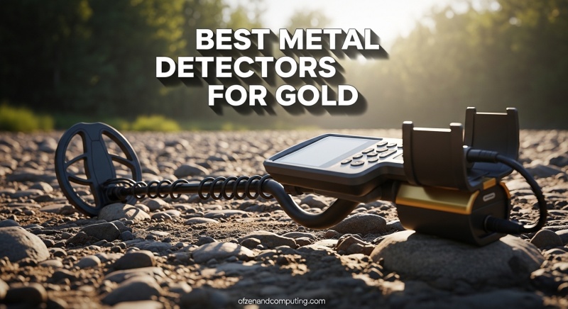 Best Metal Detectors for Gold