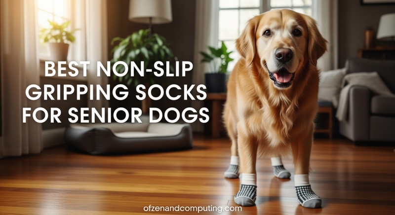 Best Non-Slip Gripping Socks for Senior Dogs