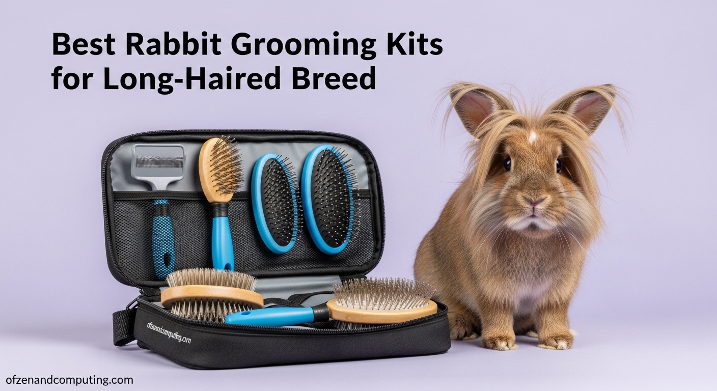 Best Rabbit Grooming Kits for Long-Haired Breeds