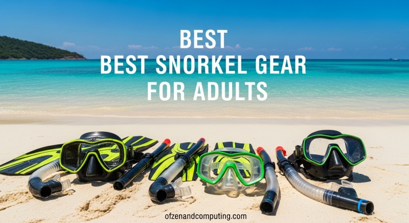 Best Snorkel Gear for Adults